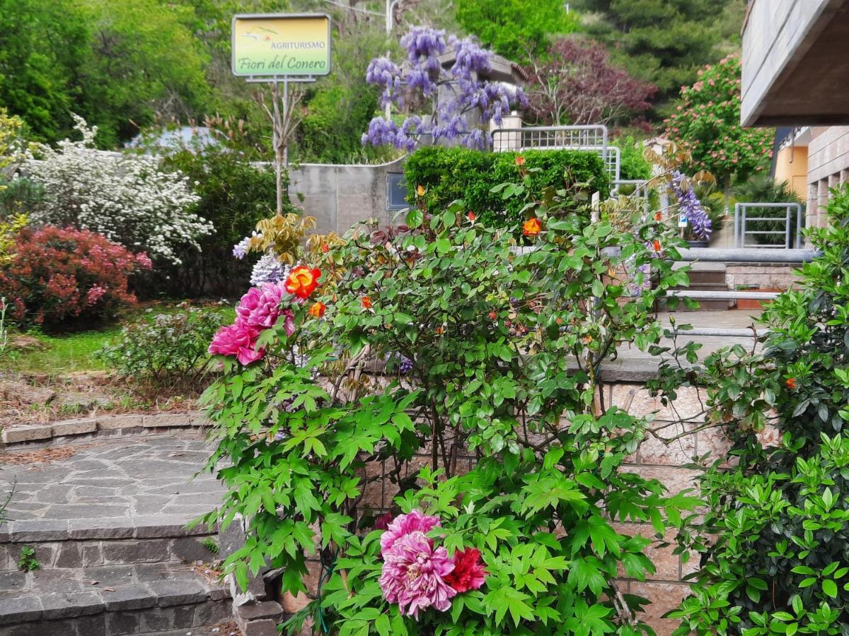 Fiori Del Conero Βίλα Ανκόνα Εξωτερικό φωτογραφία